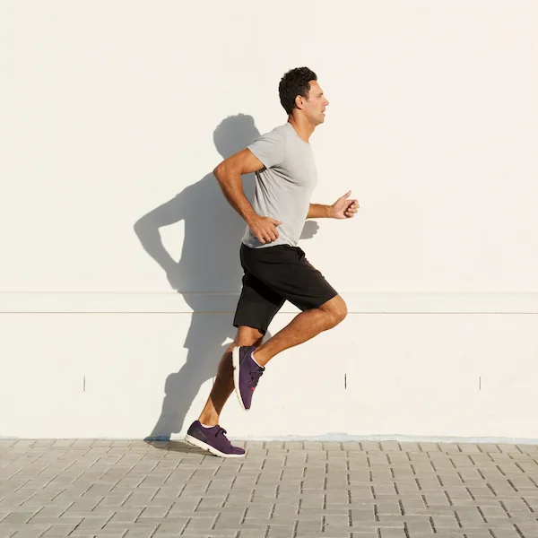 Bones, Joints & Muscles